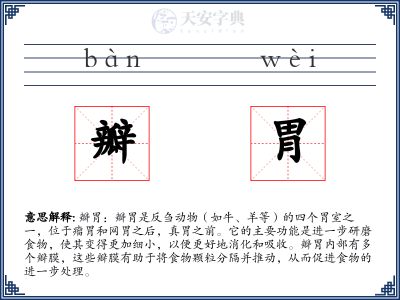瓣胃