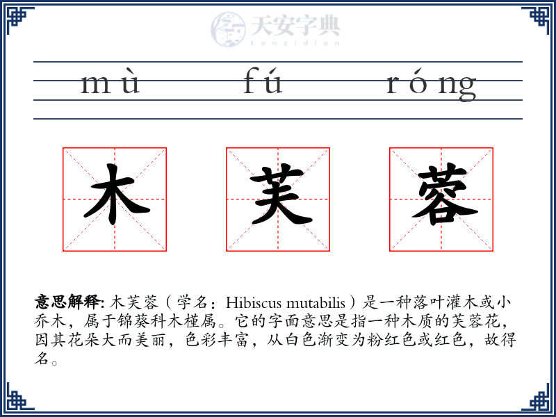 木芙蓉