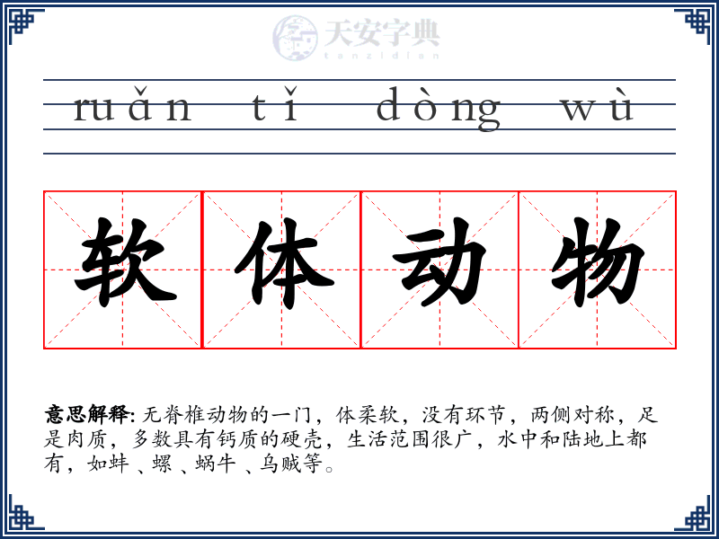 软体动物