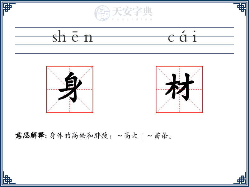 身材