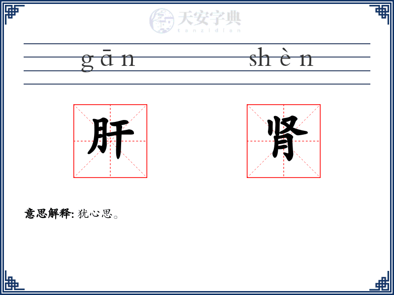 肝肾