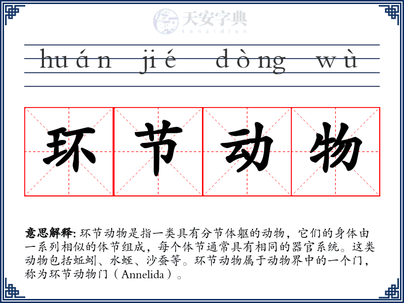 环节动物