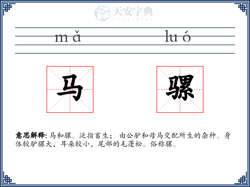 马骡