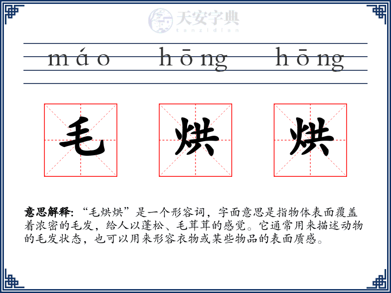 毛烘烘
