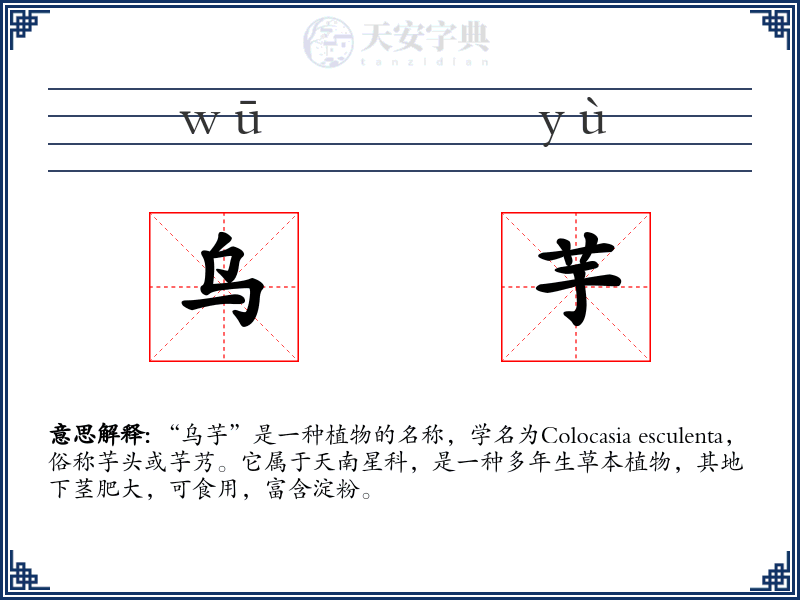 乌芋