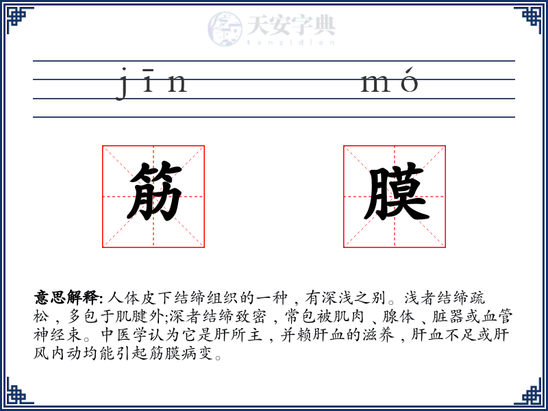筋膜