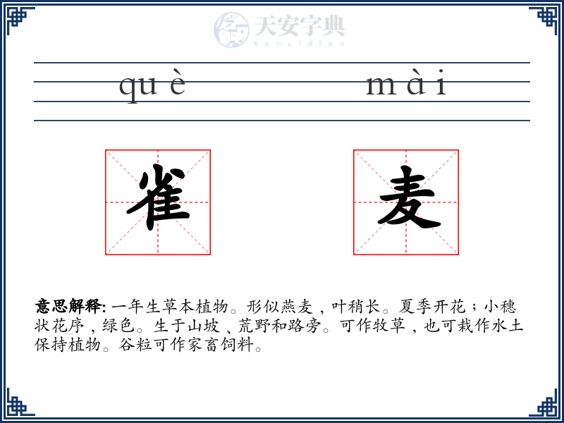 雀麦