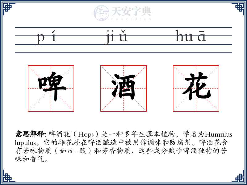 啤酒花