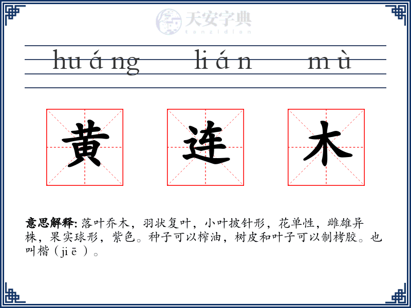 黄连木
