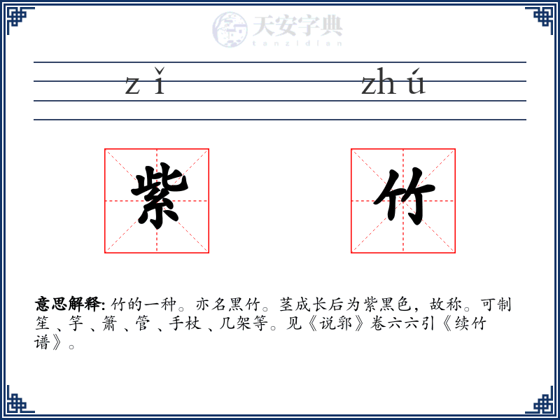 紫竹