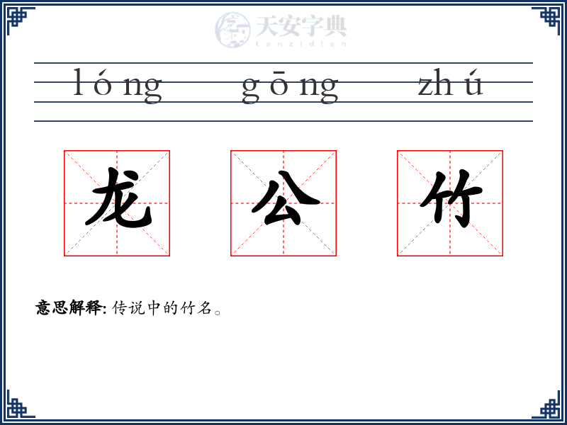 龙公竹