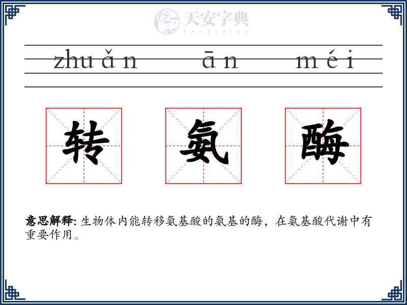 转氨酶