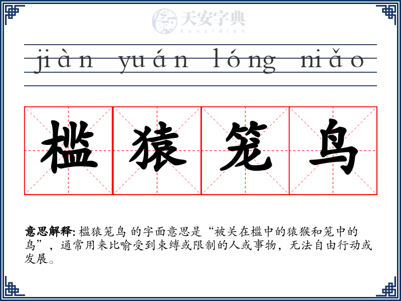 槛猿笼鸟