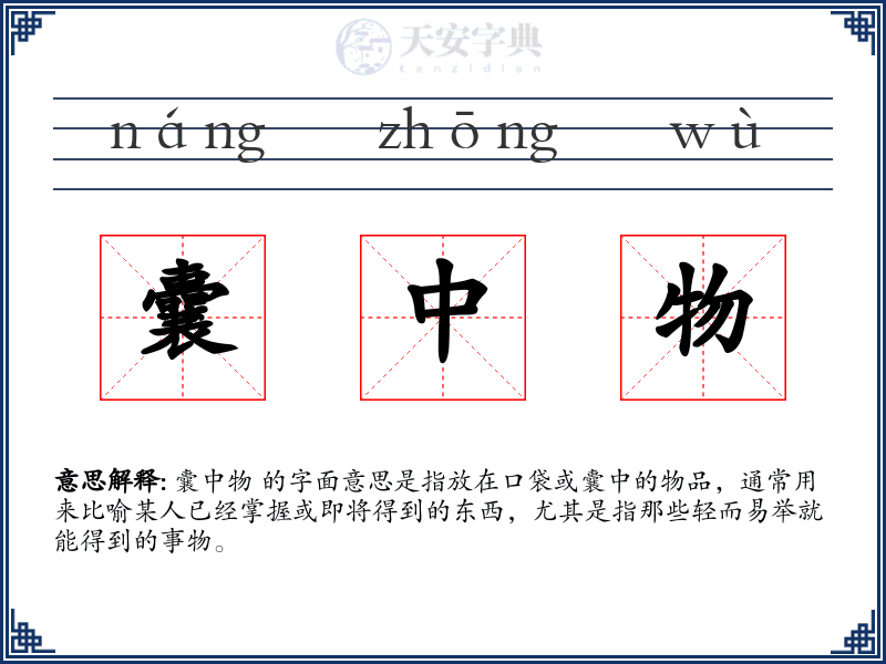 囊中物