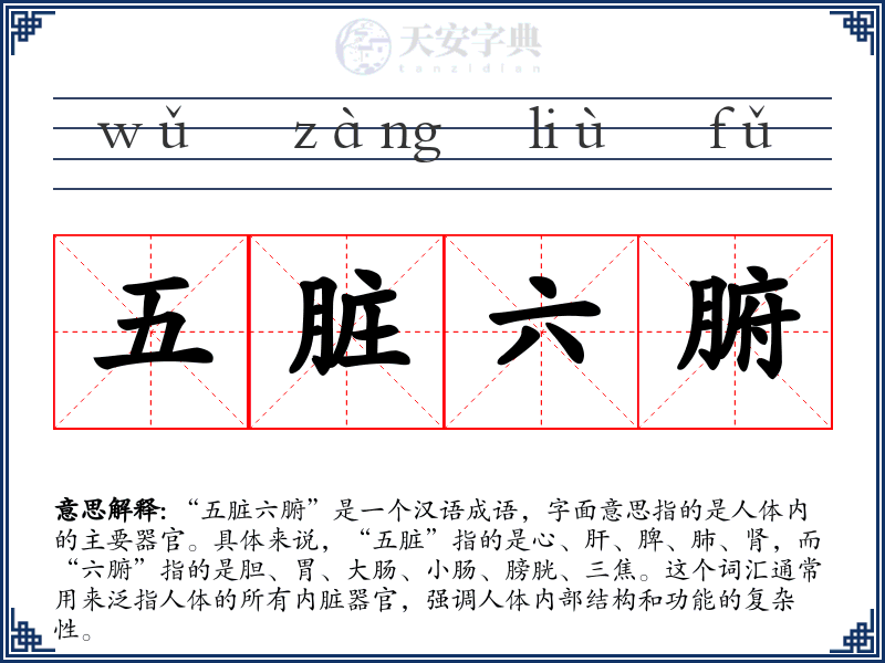 五脏六腑