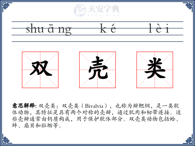 双壳类