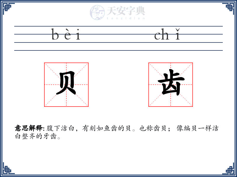 贝齿