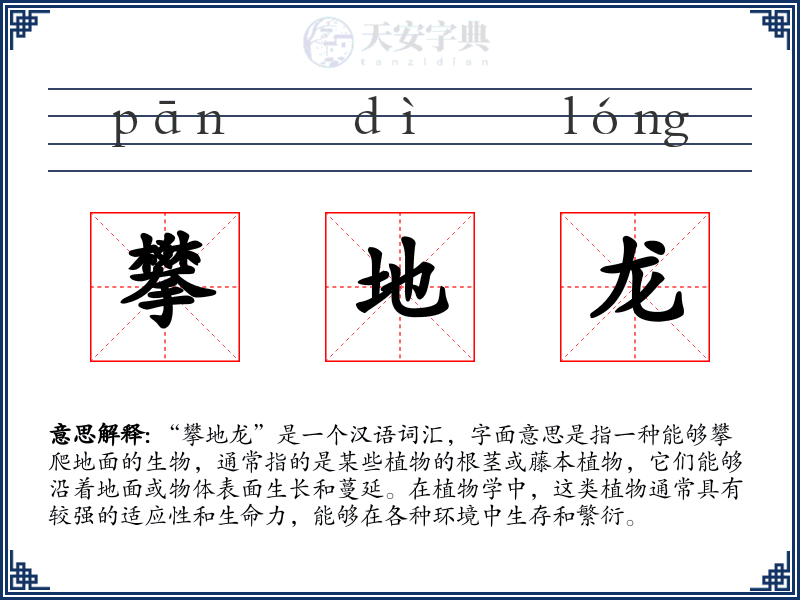 攀地龙