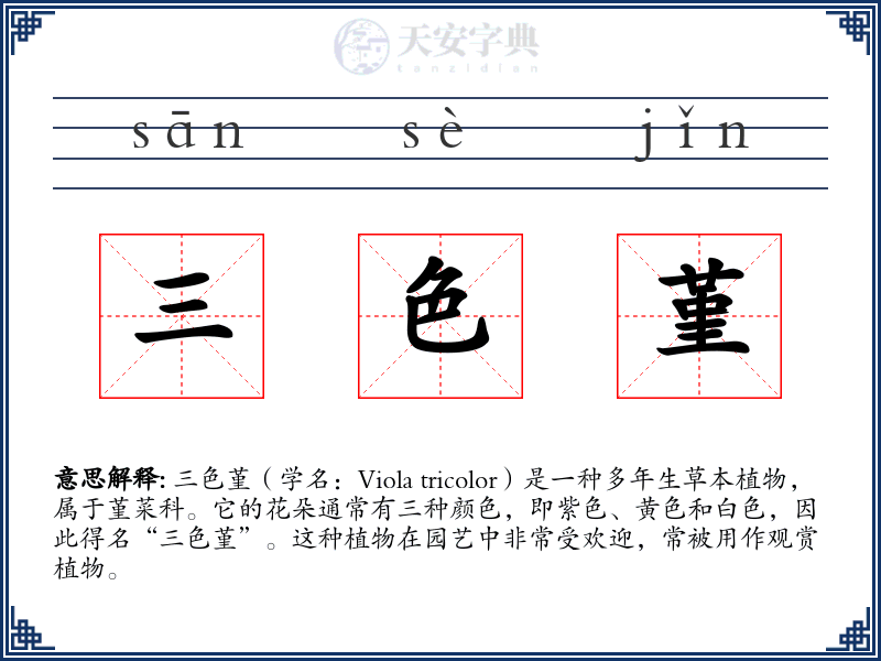 三色堇