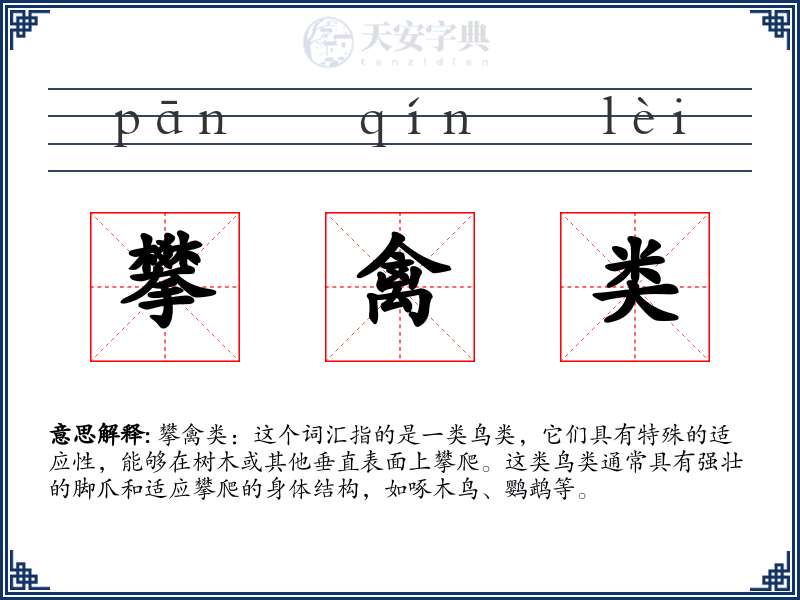 攀禽类