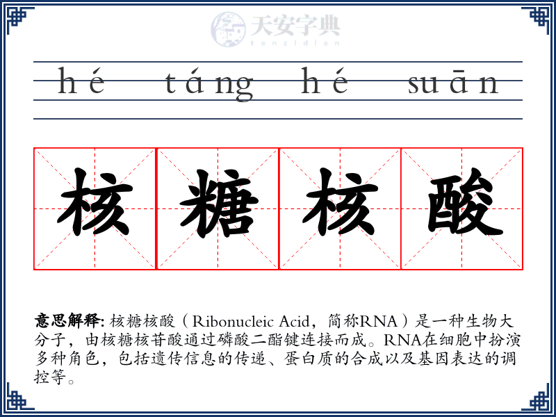 核糖核酸