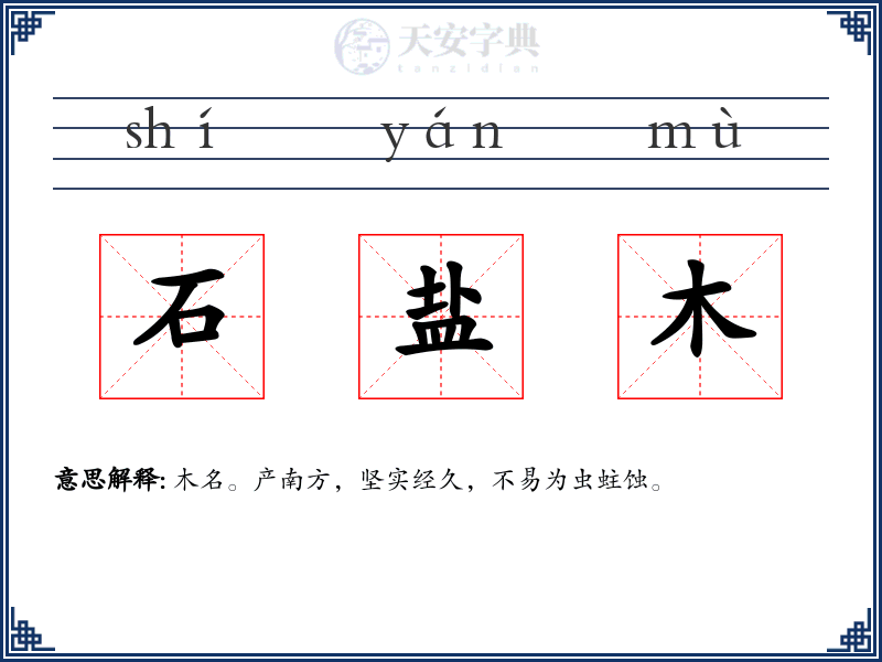 石盐木