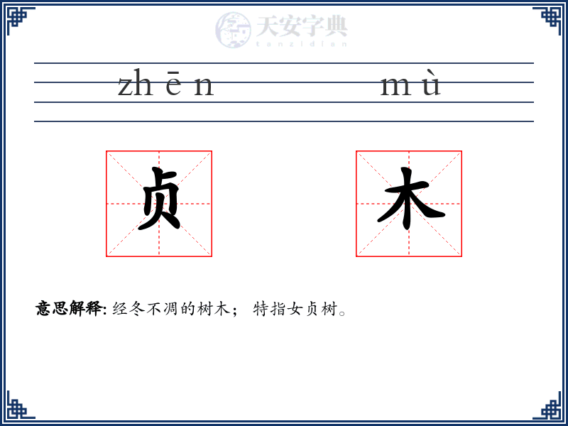 贞木