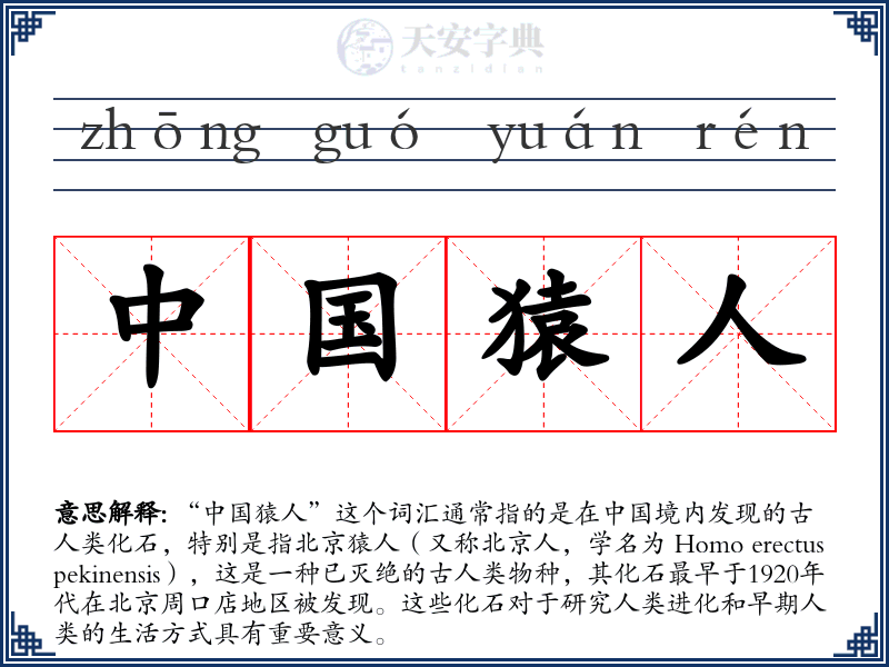 中国猿人