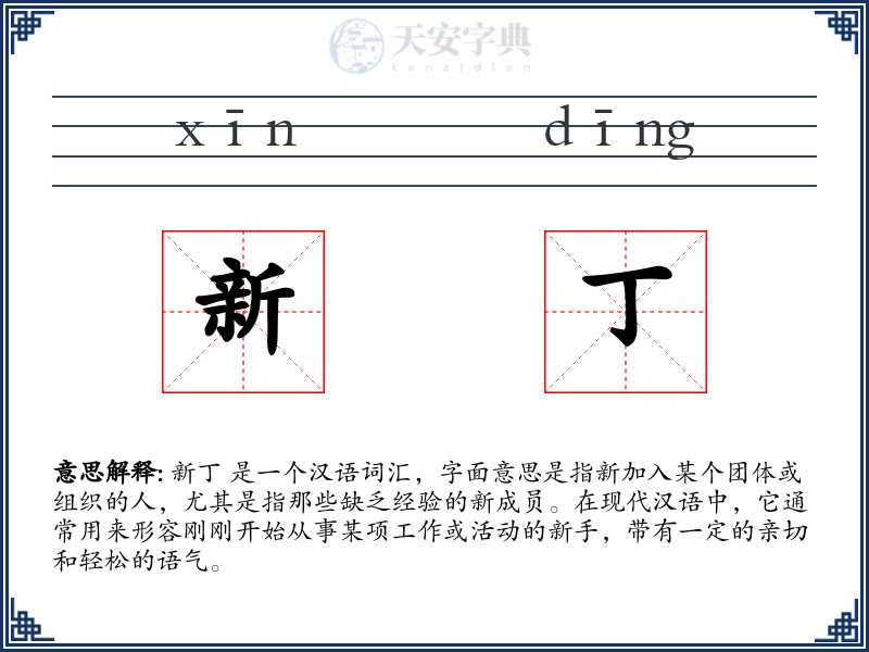 新丁