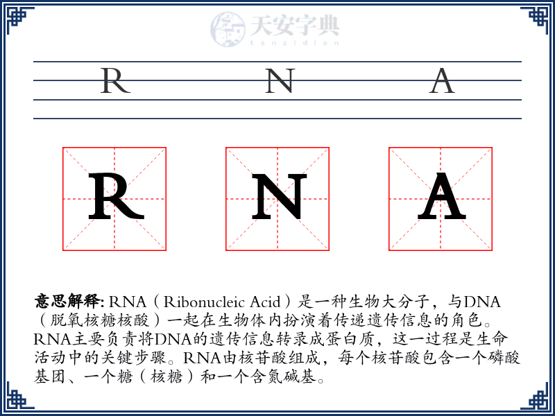 RNA