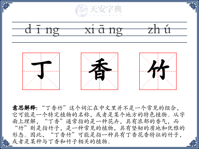 丁香竹