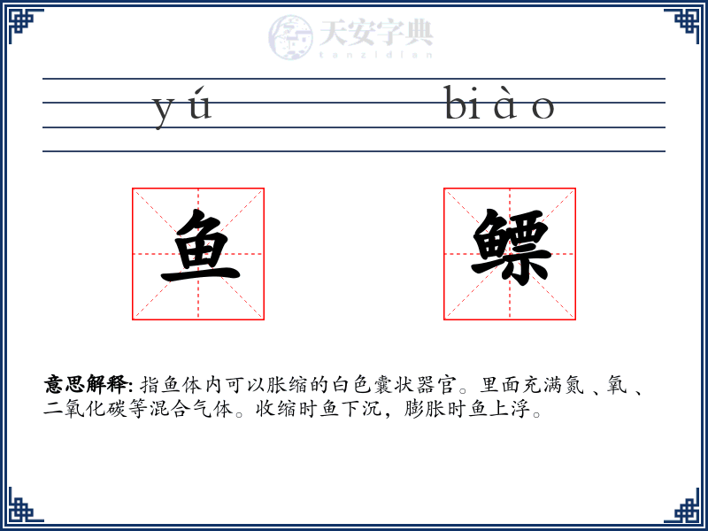 鱼鳔