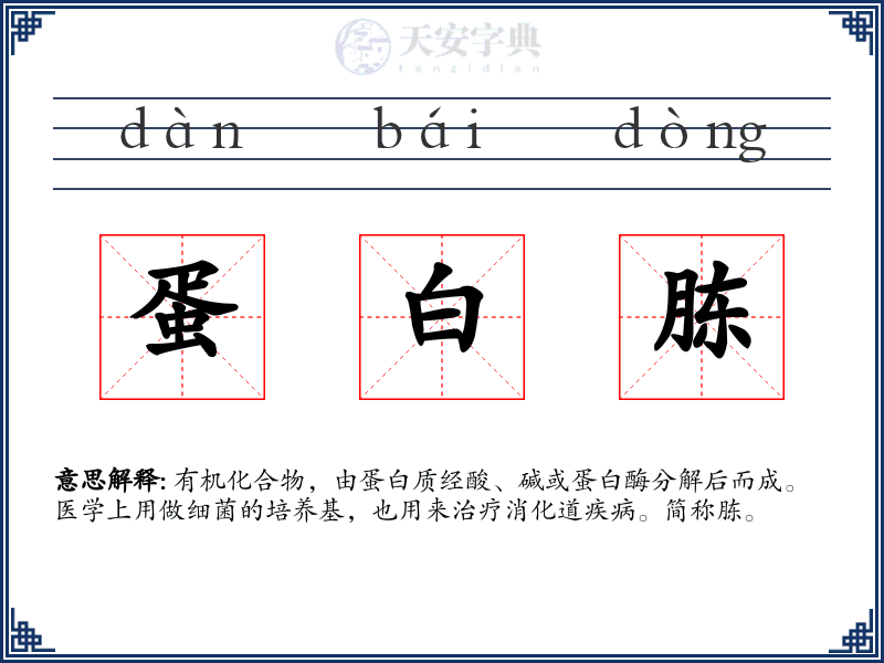 蛋白胨