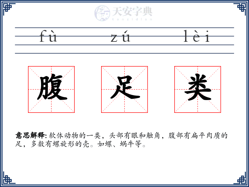 腹足类