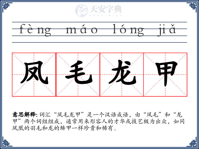 凤毛龙甲
