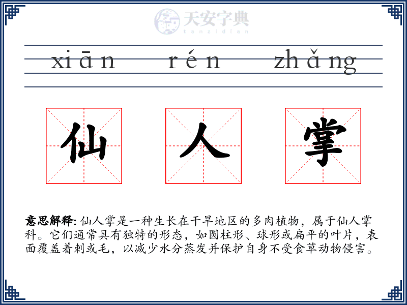 仙人掌