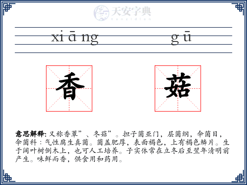 香菇
