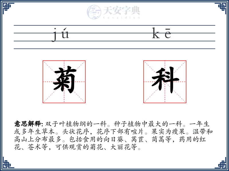 菊科