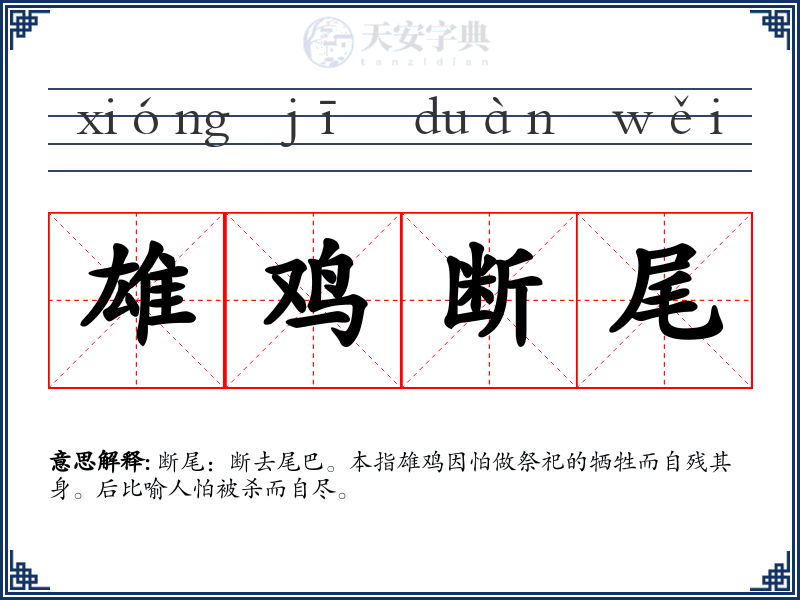 雄鸡断尾