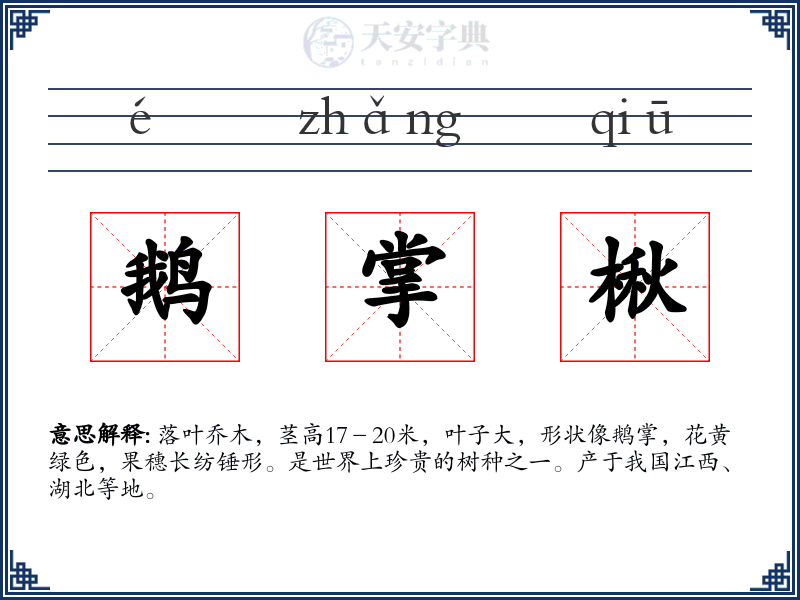 鹅掌楸