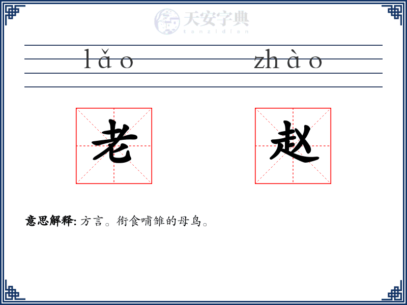 老赵