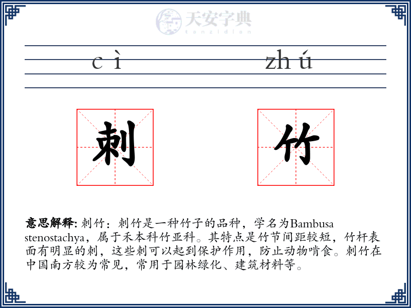 刺竹