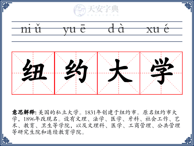 纽约大学