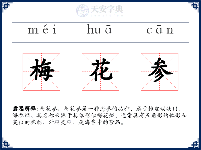 梅花参