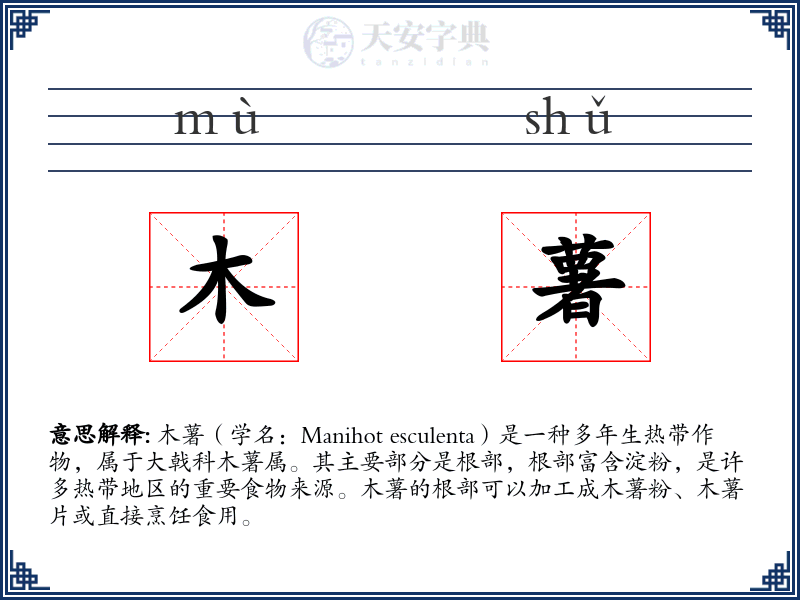 木薯