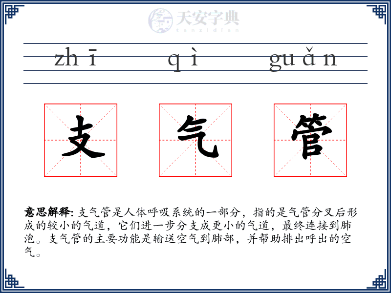 支气管