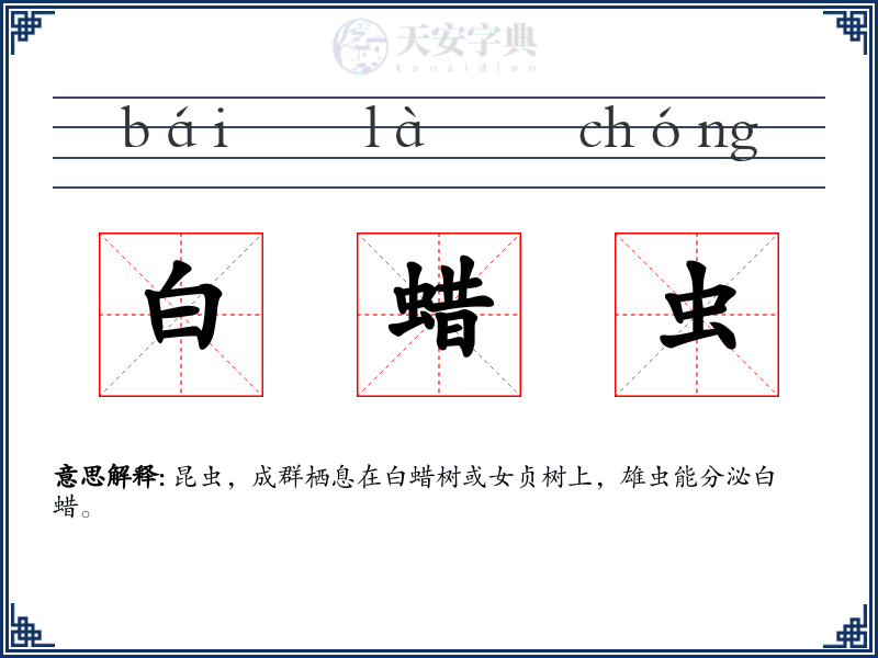 白蜡虫