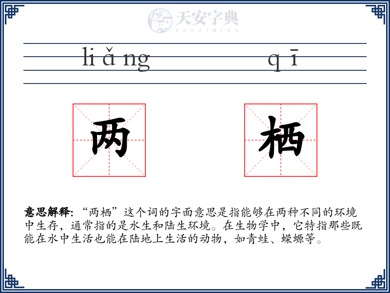 两栖