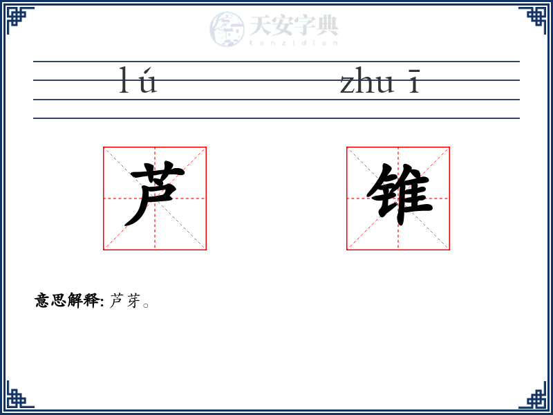 芦锥