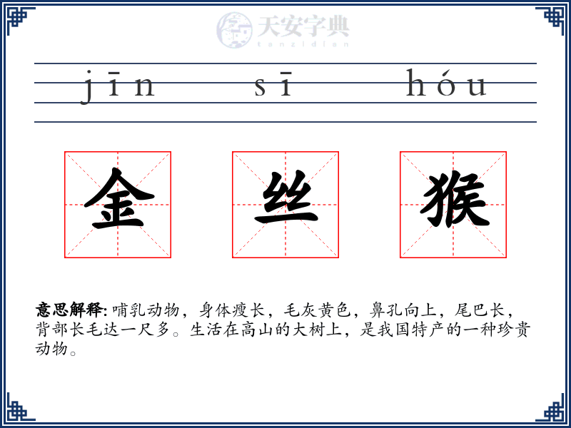 金丝猴